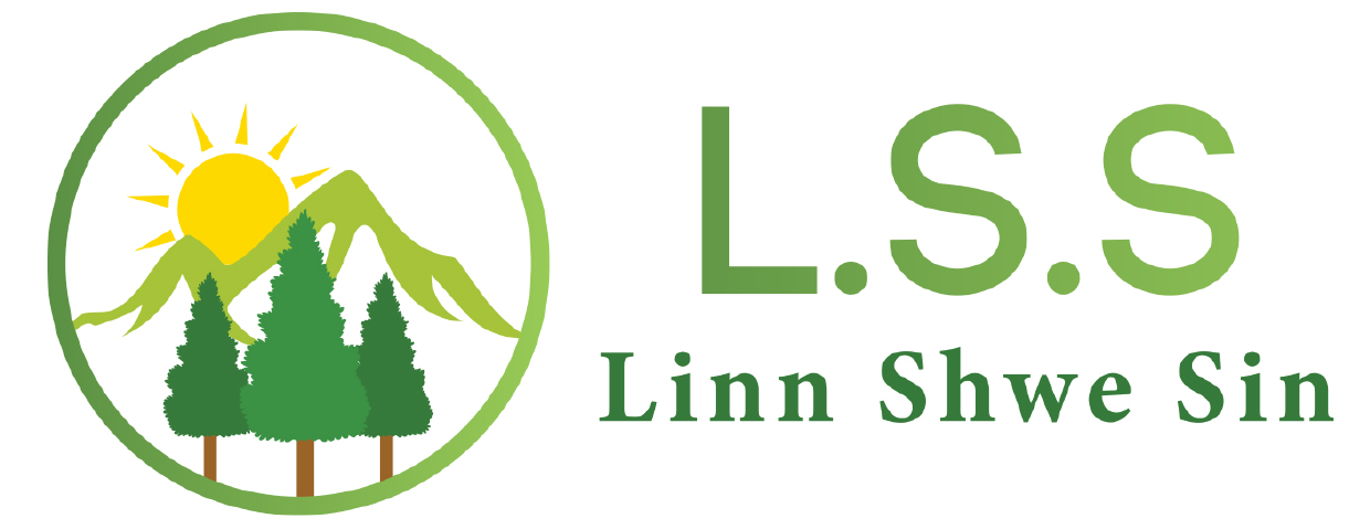 Linn Shwe Sin